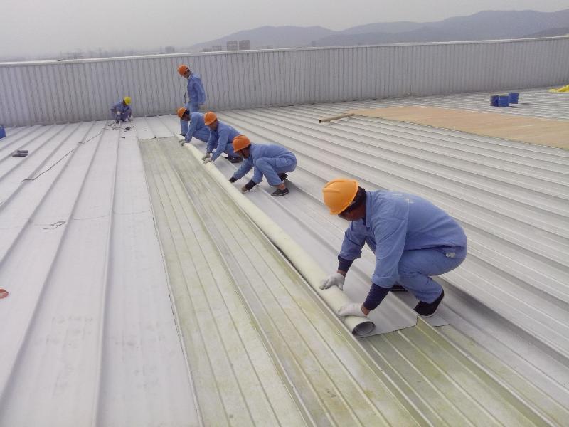 Đơn vị chống thấm chuyên nghiệp tại Hà Nội – Xử lý mọi hạng mục