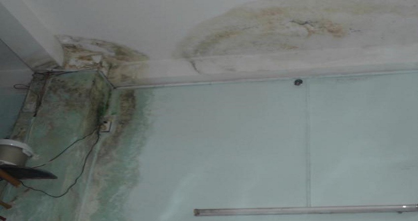 Nơi nhận chống thấm trần nhà giá rẻ tại Hà Nội – Hiệu quả 100%